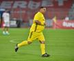 Ionel Ganea