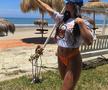 Rămâne în Superliga! » Atacantul a semnat cu noul club: „Alte două echipe l-au dorit”