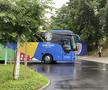 Echipa nationala plecare din Germania