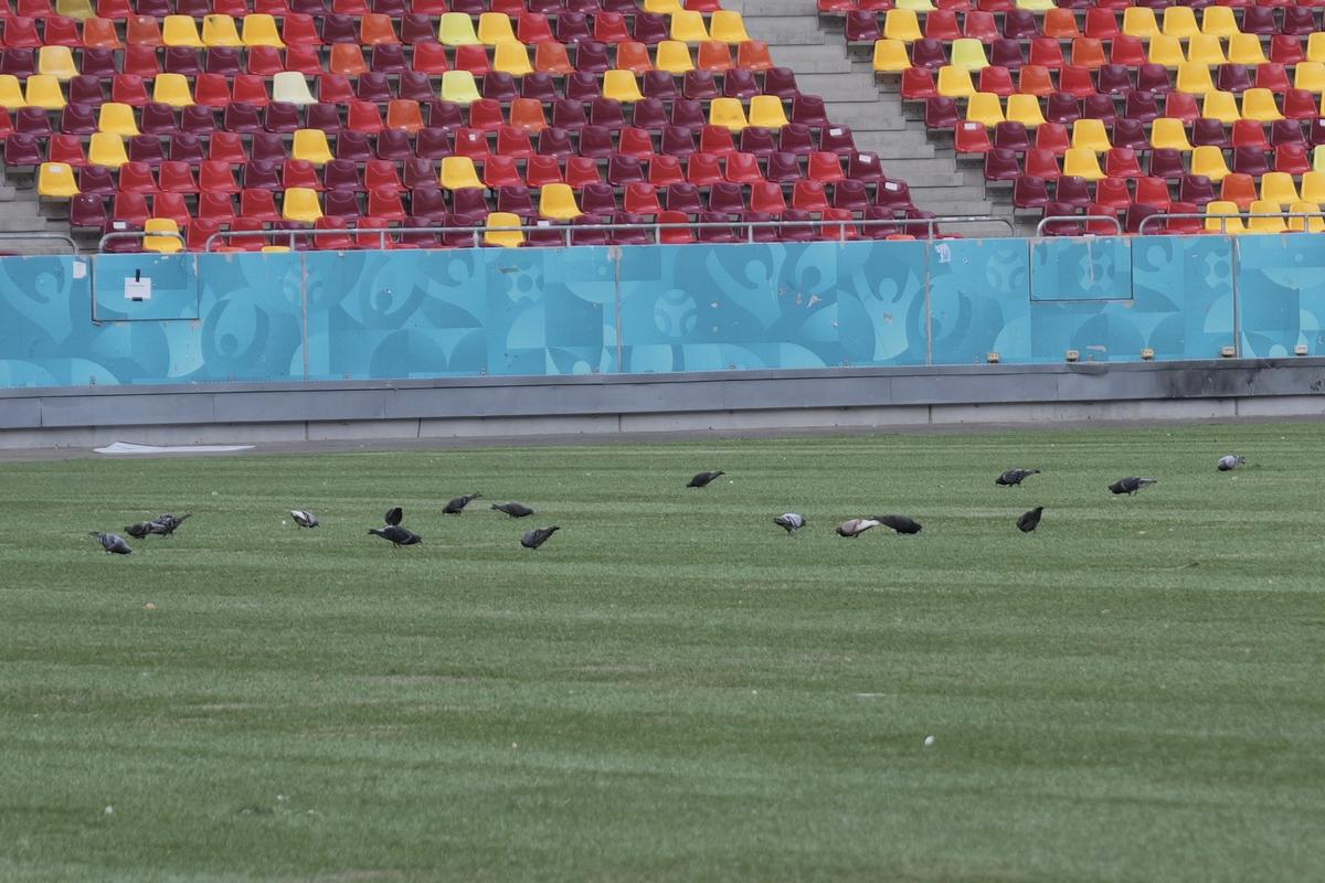 De ce nu poate Dinamo organiza derby-ul cu FCSB pe un stadion din afara Bucureștiului! „Câinii” au rămas fără variante