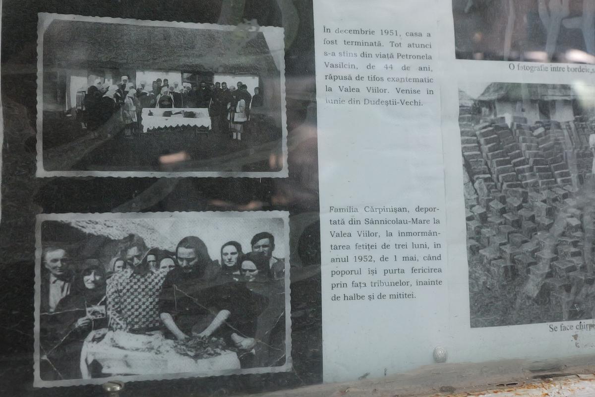 În ce oraș din România își petrece Gigi Becali vacanța din această vară