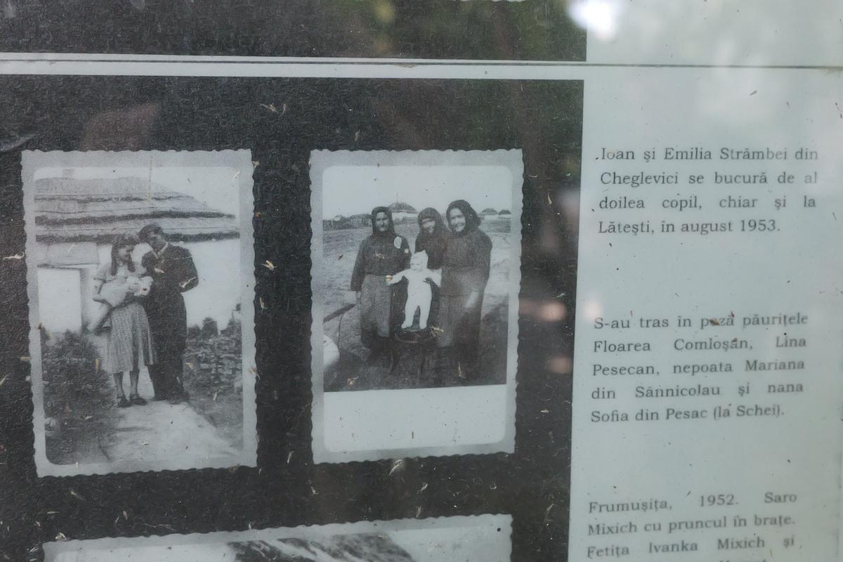 Zegna - satul în care s-a născut Gigi Becali (2) // foto: Andrei Furnigă (GSP)