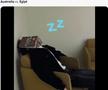 A început „furtuna” » Cele mai tari meme-uri după penalty-urile hilare din Australia - Egipt