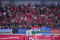 Sepsi, amendată pentru rasism de UEFA » Ce sumă trebuie să plătească