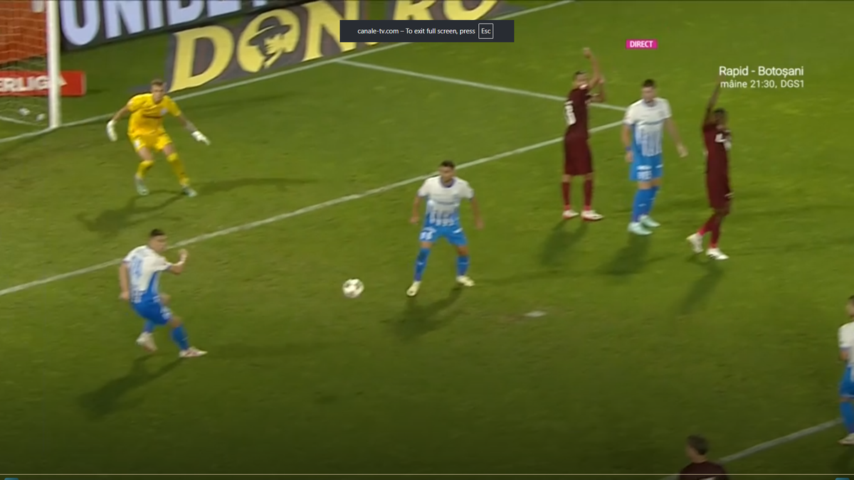 Reluări la eliminarea lui Dan Petrescu: Nu a fost henț la Bancu