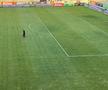 Gazonul de pe stadionul Arcul de Triumf la FCSB - Farul