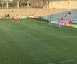 Gazonul de pe stadionul Arcul de Triumf la FCSB - Farul