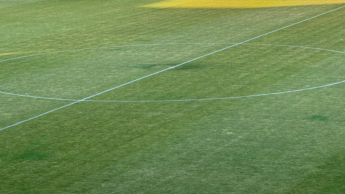 Gazonul de pe stadionul Arcul de Triumf la FCSB - Farul