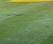Gazonul de pe stadionul Arcul de Triumf la FCSB - Farul