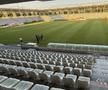 Gazonul de pe stadionul Arcul de Triumf la FCSB - Farul