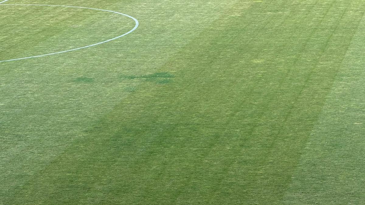 Gazonul de pe stadionul Arcul de Triumf la FCSB - Farul