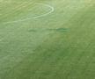 Gazonul de pe stadionul Arcul de Triumf la FCSB - Farul