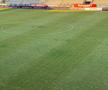 Gazonul de pe stadionul Arcul de Triumf la FCSB - Farul