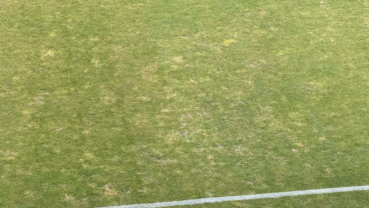 Dezastru! Incredibil cum se prezintă gazonul stadionului Arcul de Triumf la FCSB - Farul