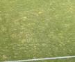Gazonul de pe stadionul Arcul de Triumf la FCSB - Farul