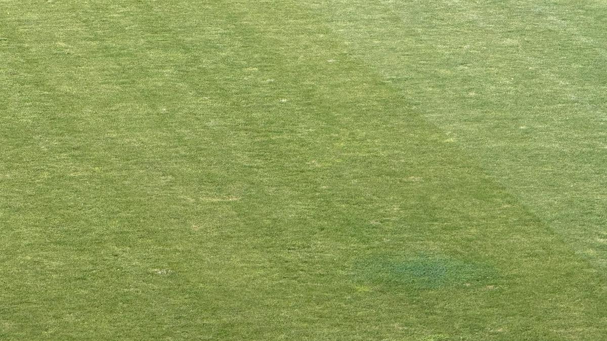 Gazonul de pe stadionul Arcul de Triumf la FCSB - Farul
