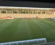 Gazonul de pe stadionul Arcul de Triumf la FCSB - Farul