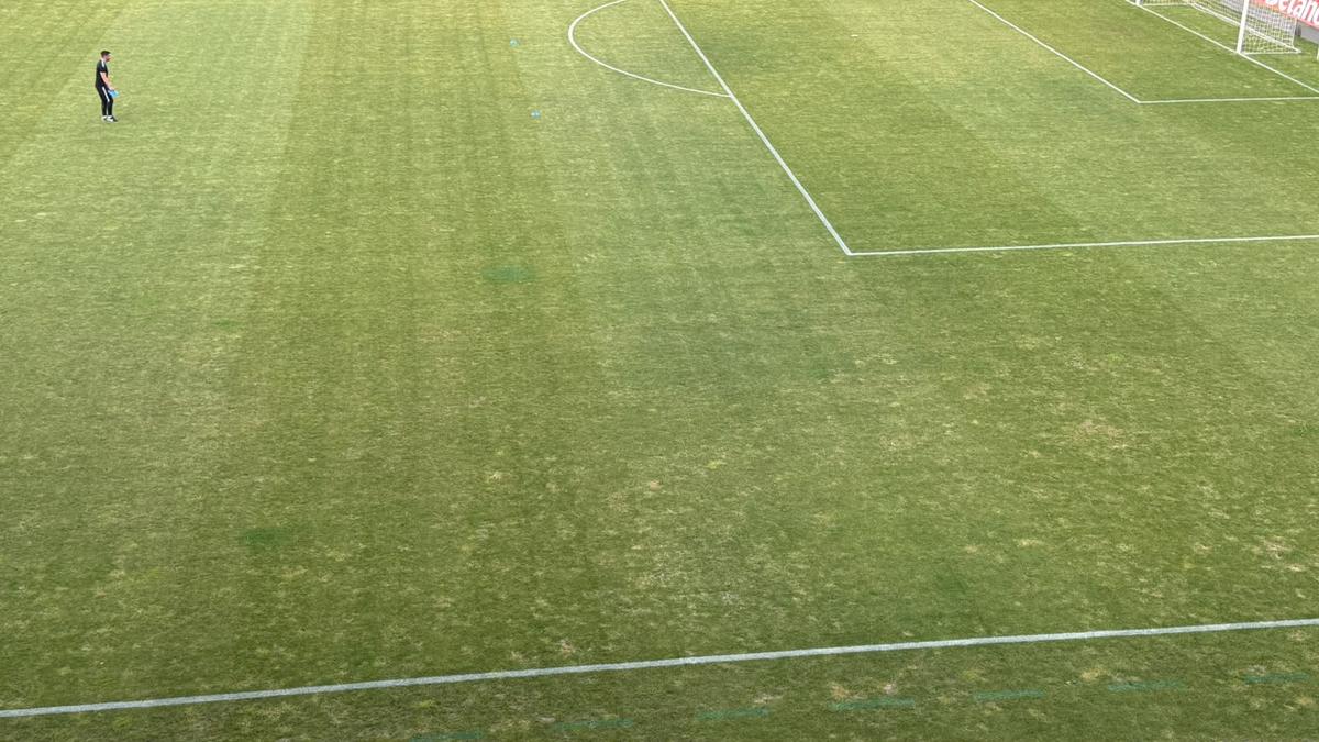 Gazonul de pe stadionul Arcul de Triumf la FCSB - Farul