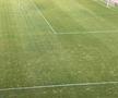 Gazonul de pe stadionul Arcul de Triumf la FCSB - Farul