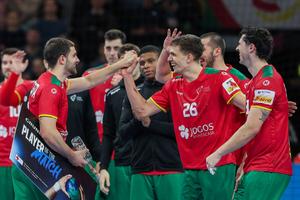 Frații Costa vor juca la Flensburg Handewitt