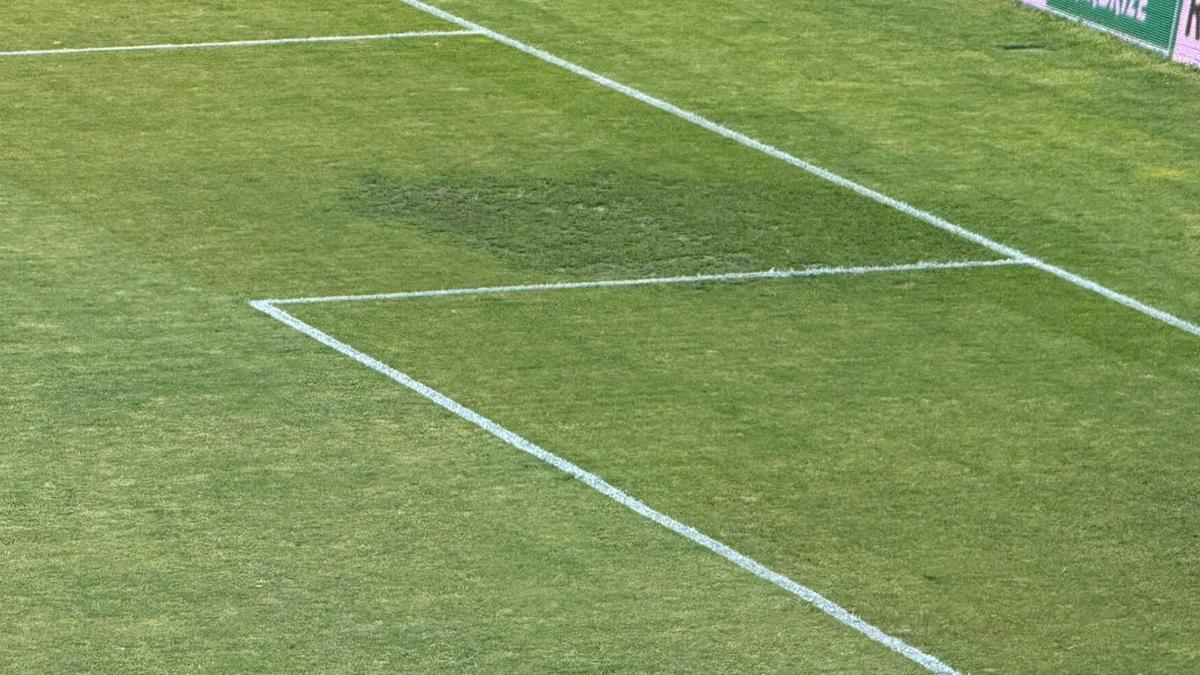 Gazonul de pe stadionul Arcul de Triumf la FCSB - Farul