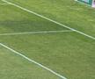 Gazonul de pe stadionul Arcul de Triumf la FCSB - Farul
