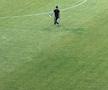 Gazonul de pe stadionul Arcul de Triumf la FCSB - Farul