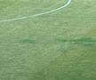Gazonul de pe stadionul Arcul de Triumf la FCSB - Farul