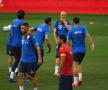 ROMÂNIA - IRLANDA DE NORD. Duel de foc pentru Ianis Hagi: „Cei mai buni inamici”