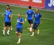 ROMÂNIA - IRLANDA DE NORD. VIDEO » Mirel Rădoi, pus în dificultate: „Suntem într-o mare dilemă! Alegerea va fi grea”