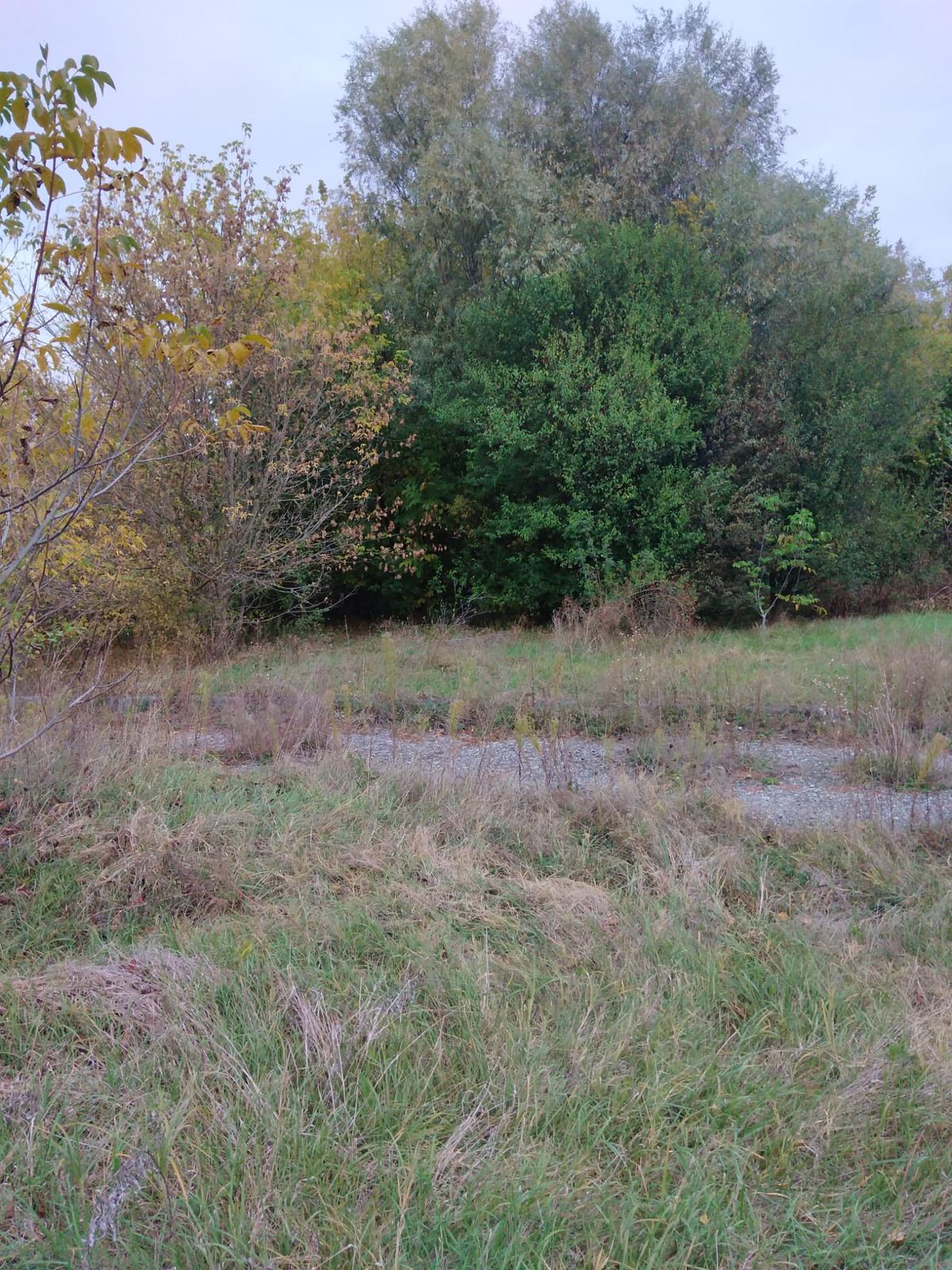 Investiția lui Dan Șucu e gata » Baza de 5,5 milioane de euro a Rapidului poate fi folosită la un an de la începerea lucrărilor