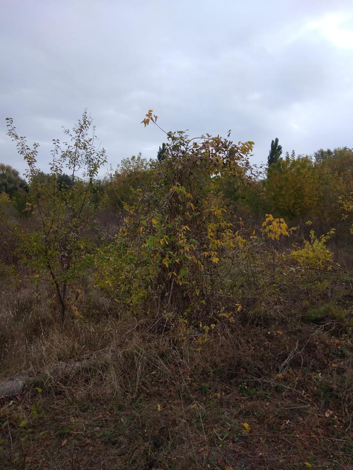 Investiția lui Dan Șucu e gata » Baza de 5,5 milioane de euro a Rapidului poate fi folosită la un an de la începerea lucrărilor