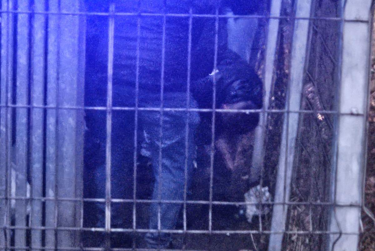Filmul incidentelor de la Arena Națională » Intervenția Jandarmeriei asupra elvețienilor, pas cu pas: „Încă un centimetru și e bătaie cu noi! Go there, băga-mi-aș p***!”