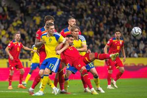 Convocare de urgență înainte de România - Suedia! Federația a făcut anunțul