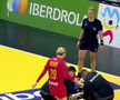 Oana Borș, accidentată în România - Iran