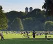 Englischer Garten
