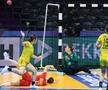 Japonia - Elveția, Campionatull Mondial de handbal feminin