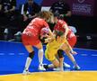 Japonia - Elveția, Campionatull Mondial de handbal feminin