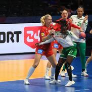 Imagini de la meciul Danemarca - Senegal FOTO: Ionuţ Iordache (GSP)