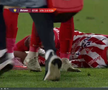 Alexandru Matei s-a accidentat grav în UTA - FCSB // FOTO: captură Prima Sport