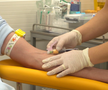 Campioana României s-a reunit și a efectuat vizita medicală. 33 de „marinari” sunt gata de startul pregătirilor