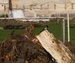 Imagini de la demolarea Stadionului Tineretului