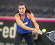 România - Rusia, Fed Cup