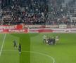 Rapid - Slobozia, gol decisiv în prelungiri: cum a sărbătorit Șumudică