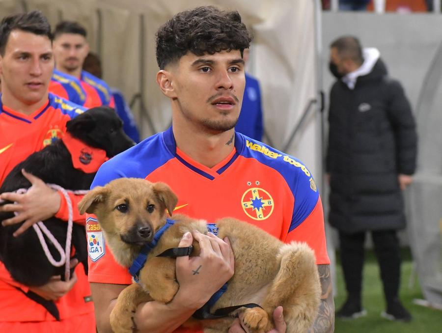 Florinel Coman. Foto: Imago Distrus de accidentări și de lene! Regres șocant al vedetei de la FCSB » Cum îl păcălea pe Rădoi la națională
