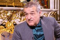 Convins de galerie, Becali a luat o decizie: „Mă duc personal la MApN și la premier”