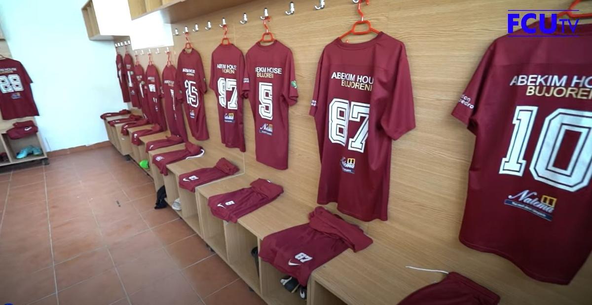 Academia lui Florin Costea