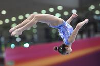 Federația Română de Gimnastică, explicații și atacuri