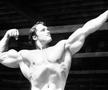 Arnold Schwarzenegger. Foto: Imago Images