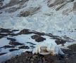 Nepalul schimbă regulile pentru expedițiile pe Everest » Cât trebuie să plătească străinii și o nouă condiție majoră: toate companiile o contestă
